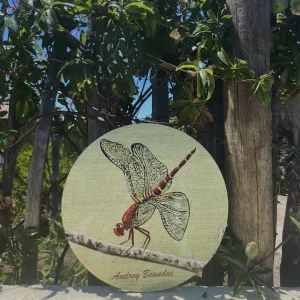 Dessous de plat - Illustration "Libellule" 20cm | Audrey Beauduc
