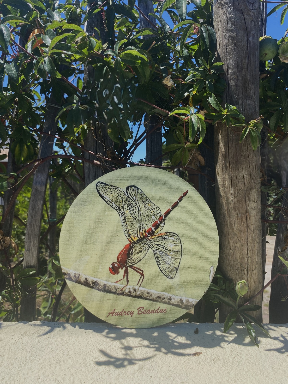 Dessous de plat - Illustration "Libellule" 20cm | Audrey Beauduc – Image 2