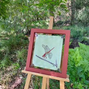 Libellule - Peinture sur toile nautique | Audrey Beauduc