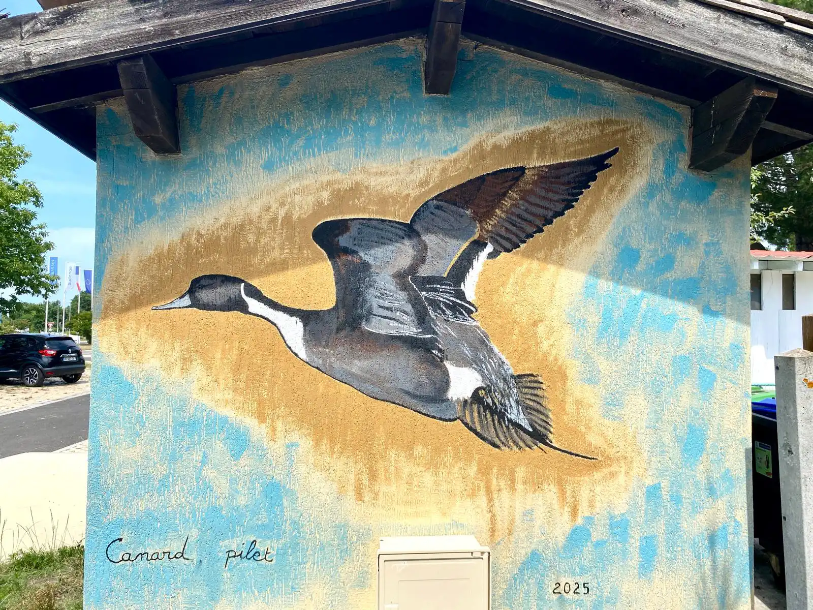 Canard pilet 2 copie