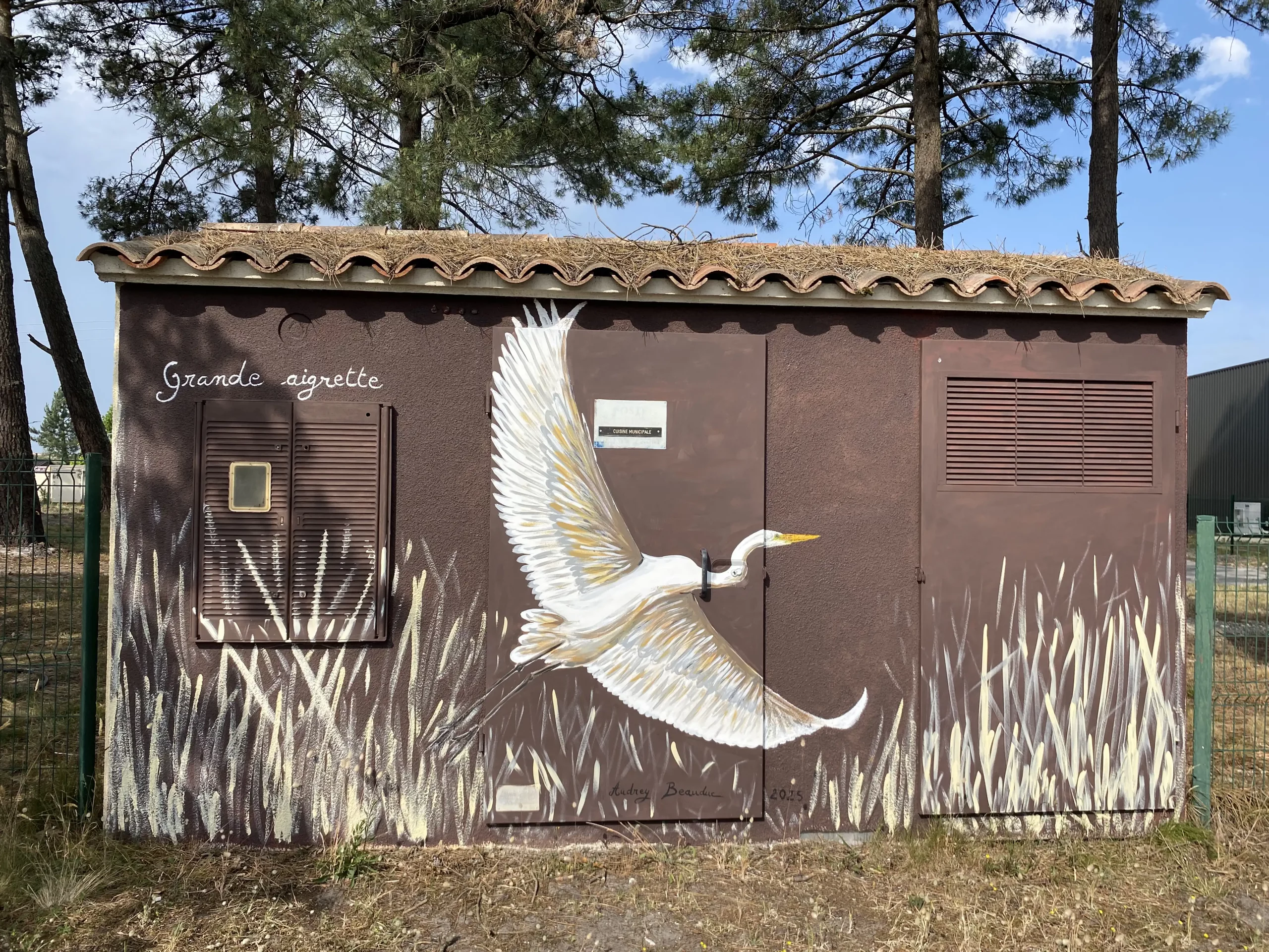 Grande aigrette 1 3 copie