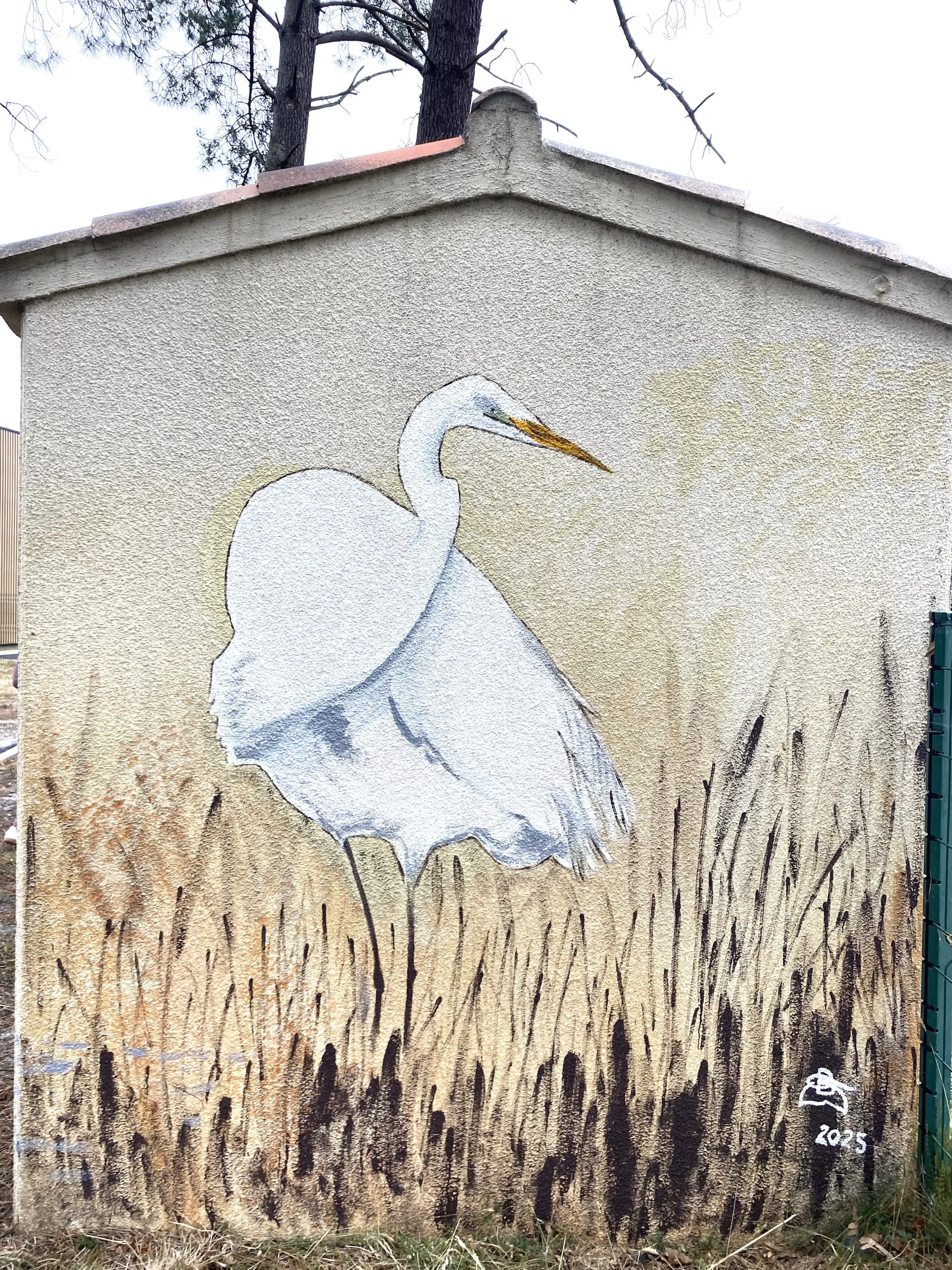 Grande aigrette 1 copie