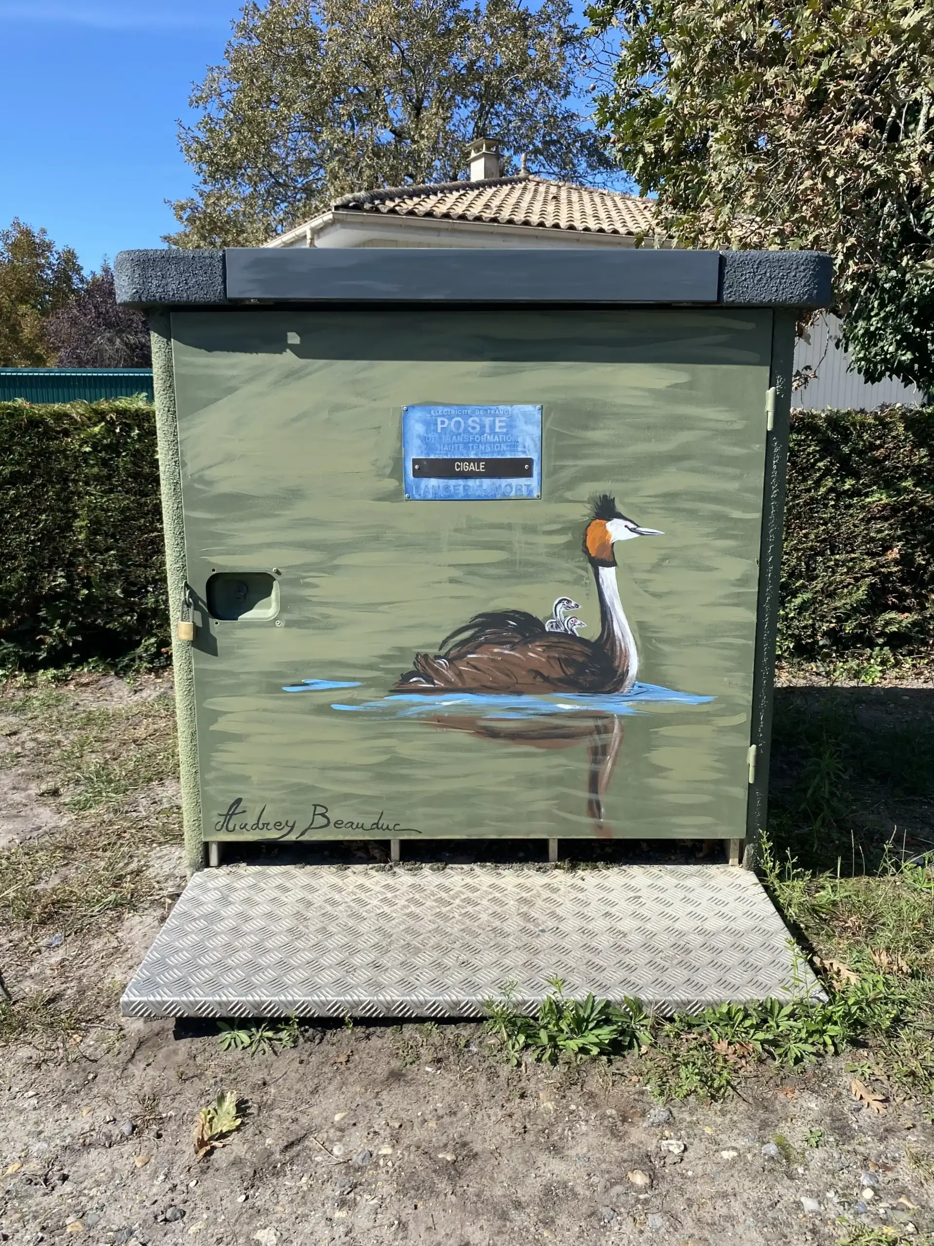 IMG_5743-scaled-scaled copie