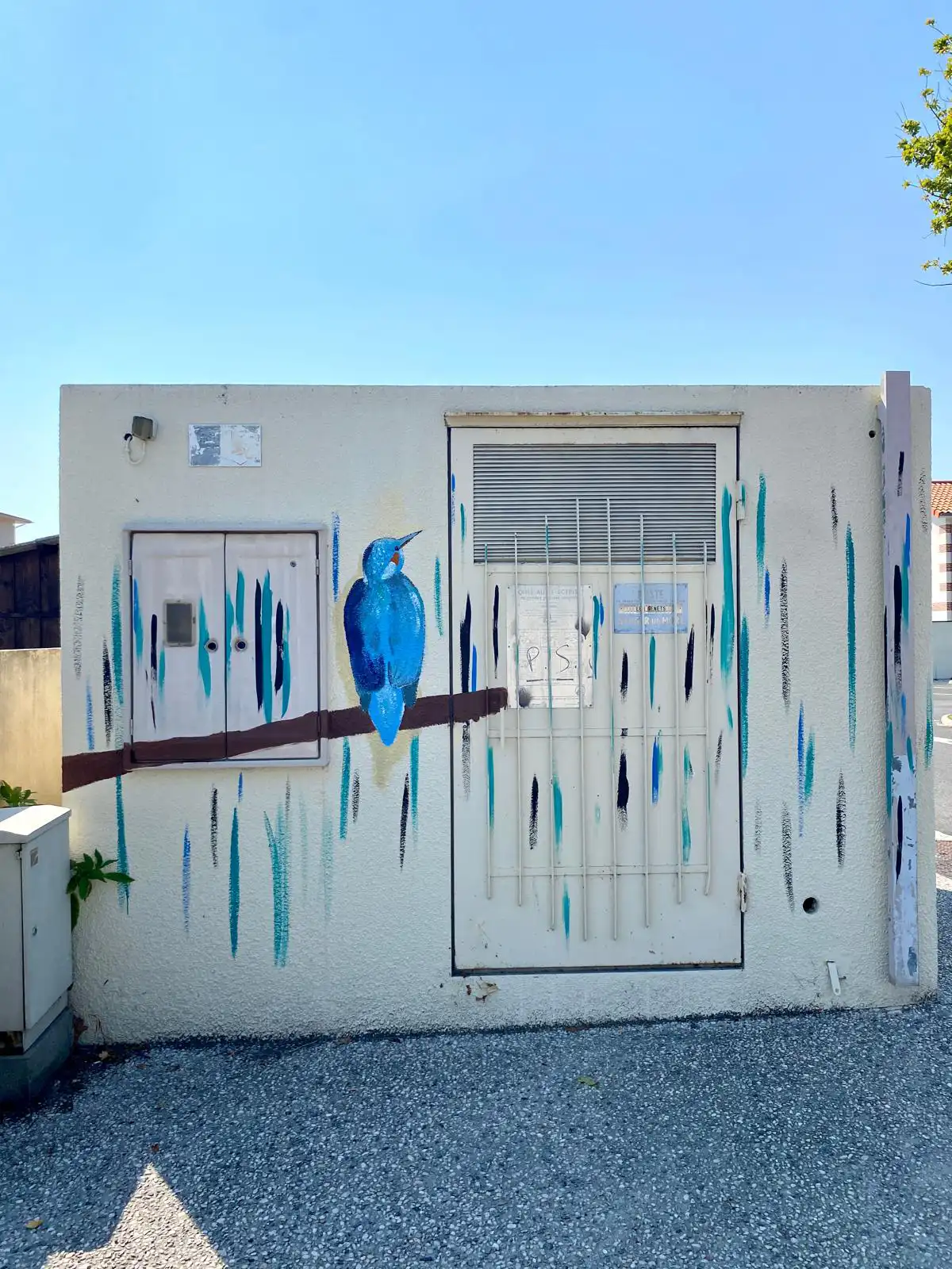 Martin-pecheur-1-1 copie