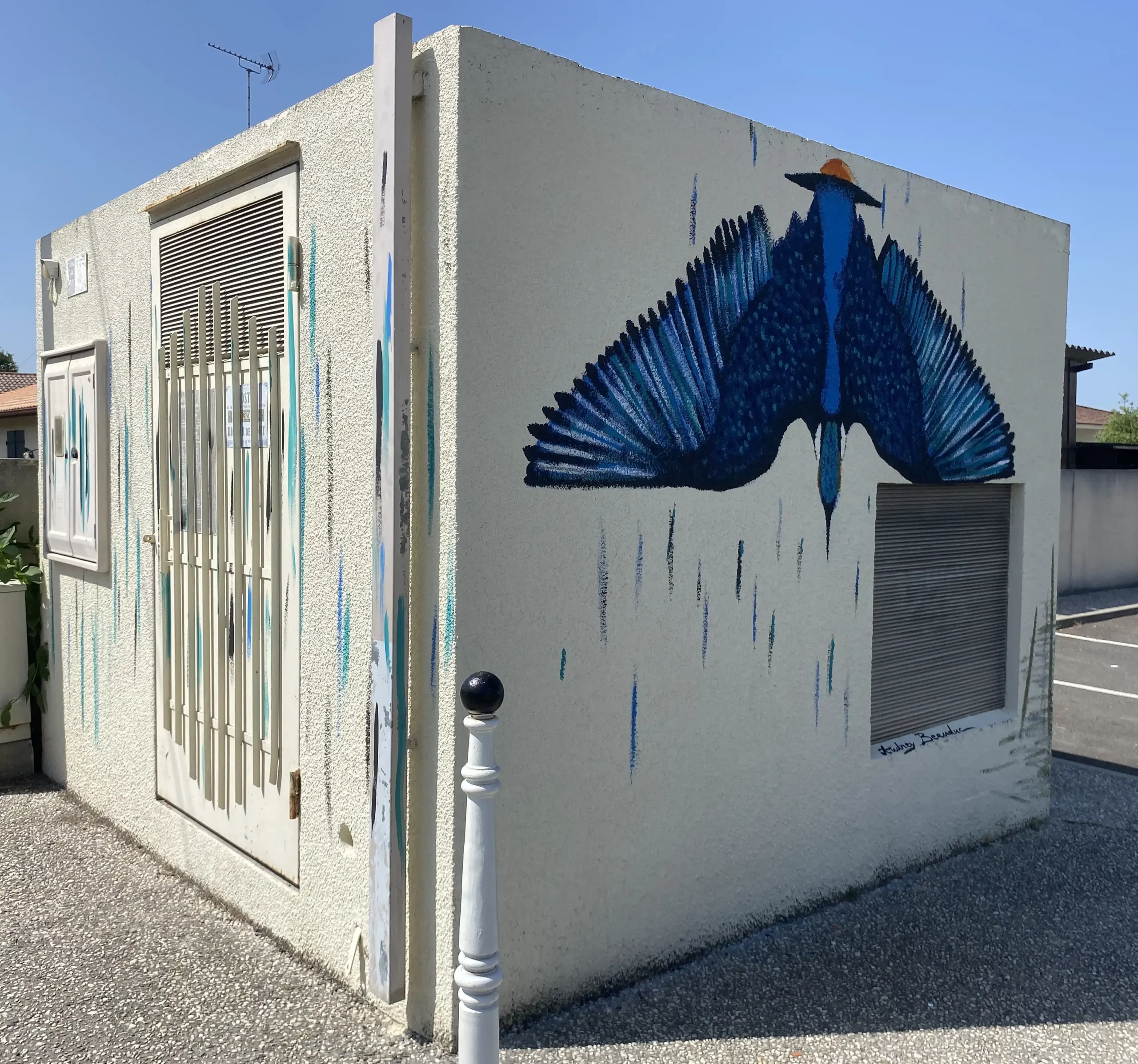 Martin pêcheur 1 copie