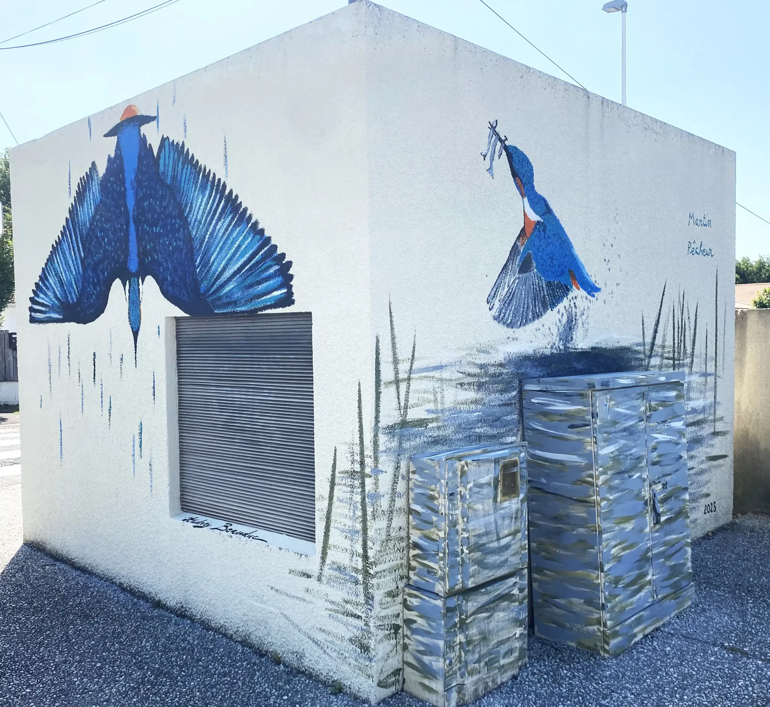 Martin pêcheur 2 copie