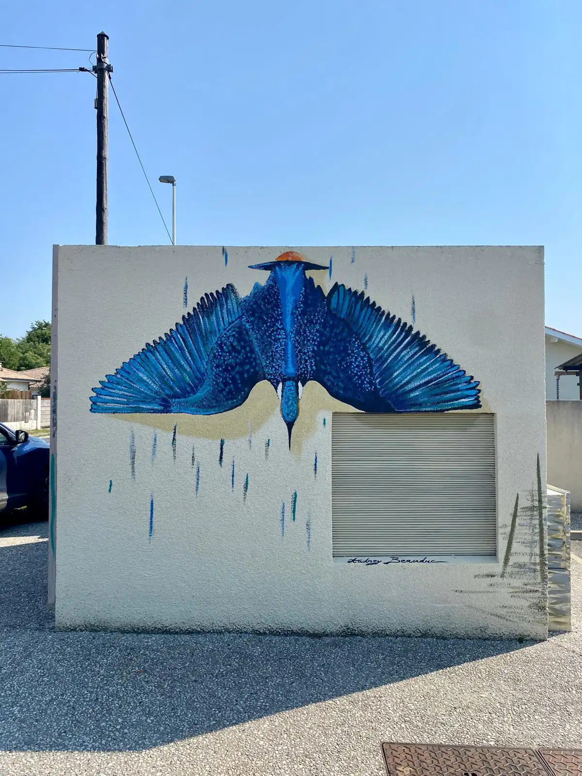 Martin pêcheur 3 copie