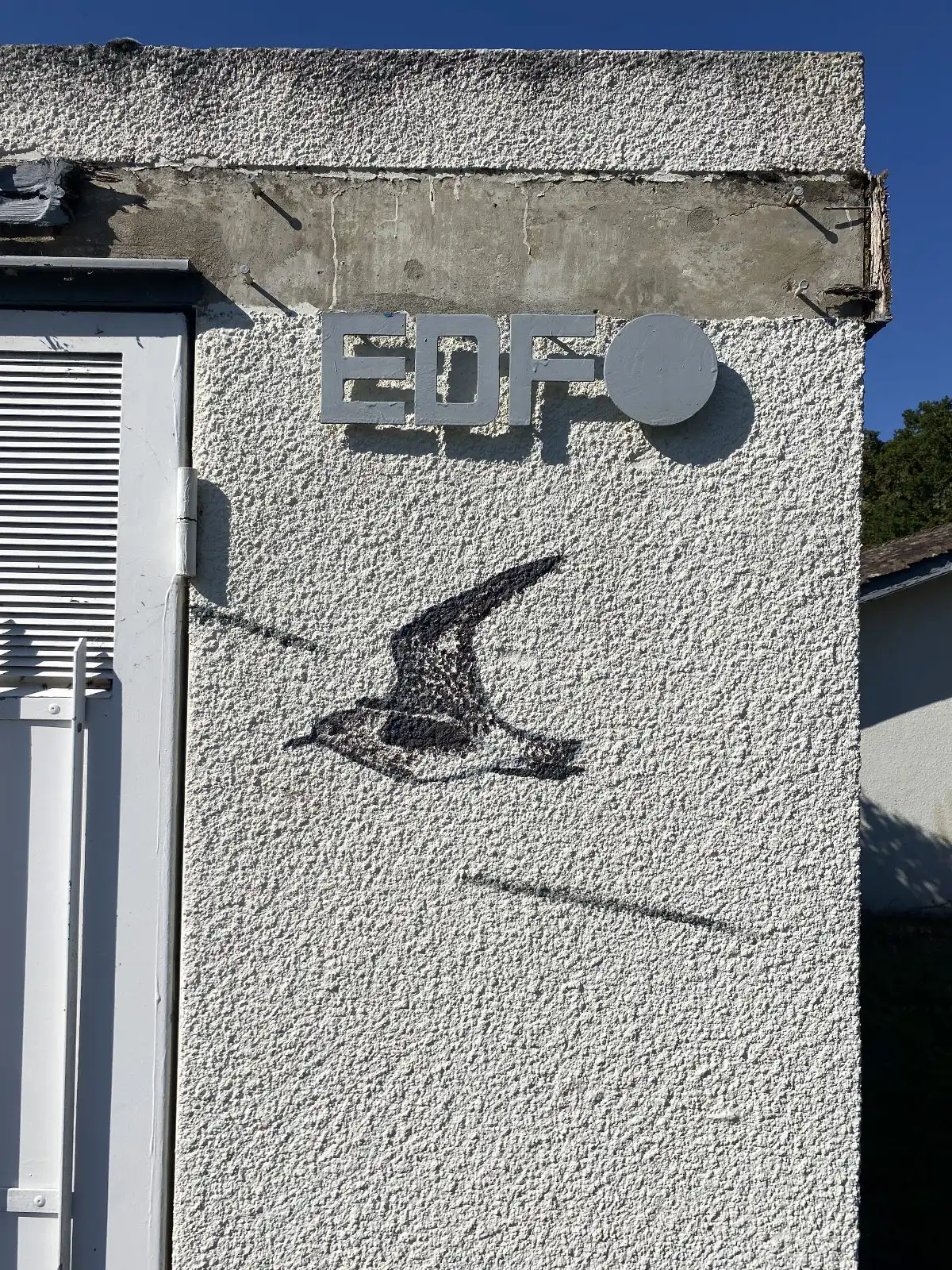 Pluvier argenté 3 copie