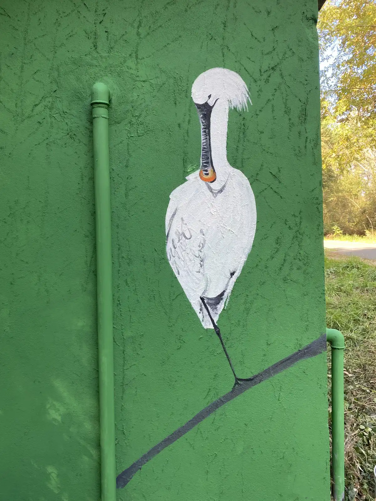 Spatule blanche 2 copie