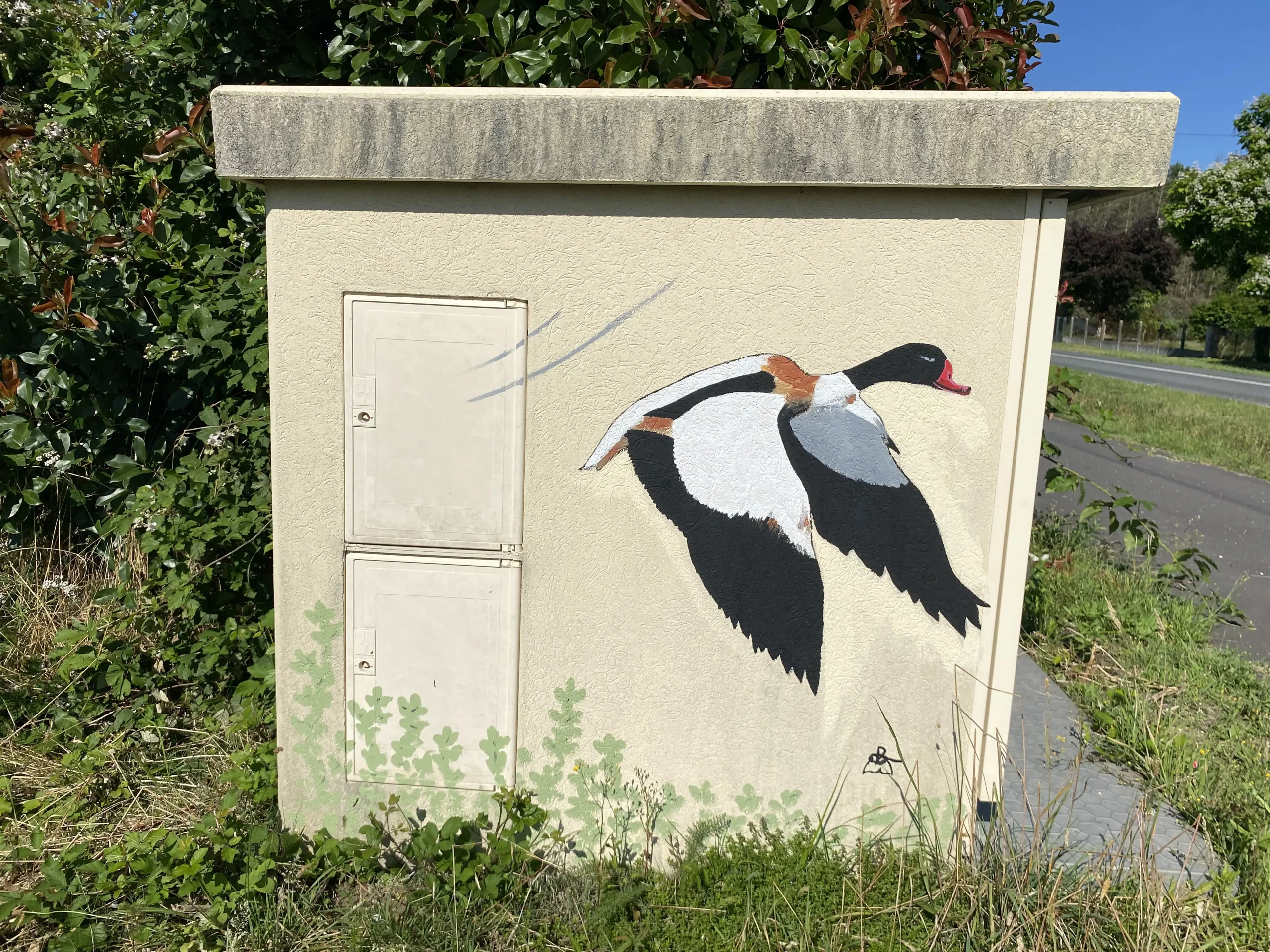 Tadorne de Bélon 2 copie